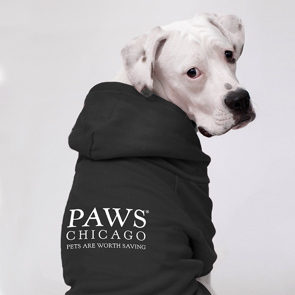 Classic PAWS Dog Hoodie – pawschicago
