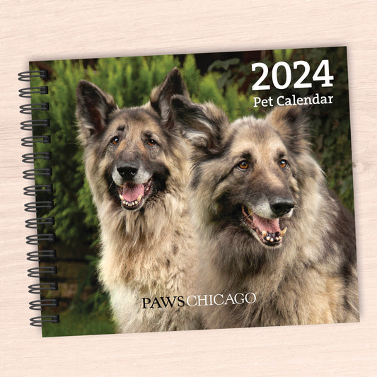 2024 PAWS Chicago Desktop Calendar