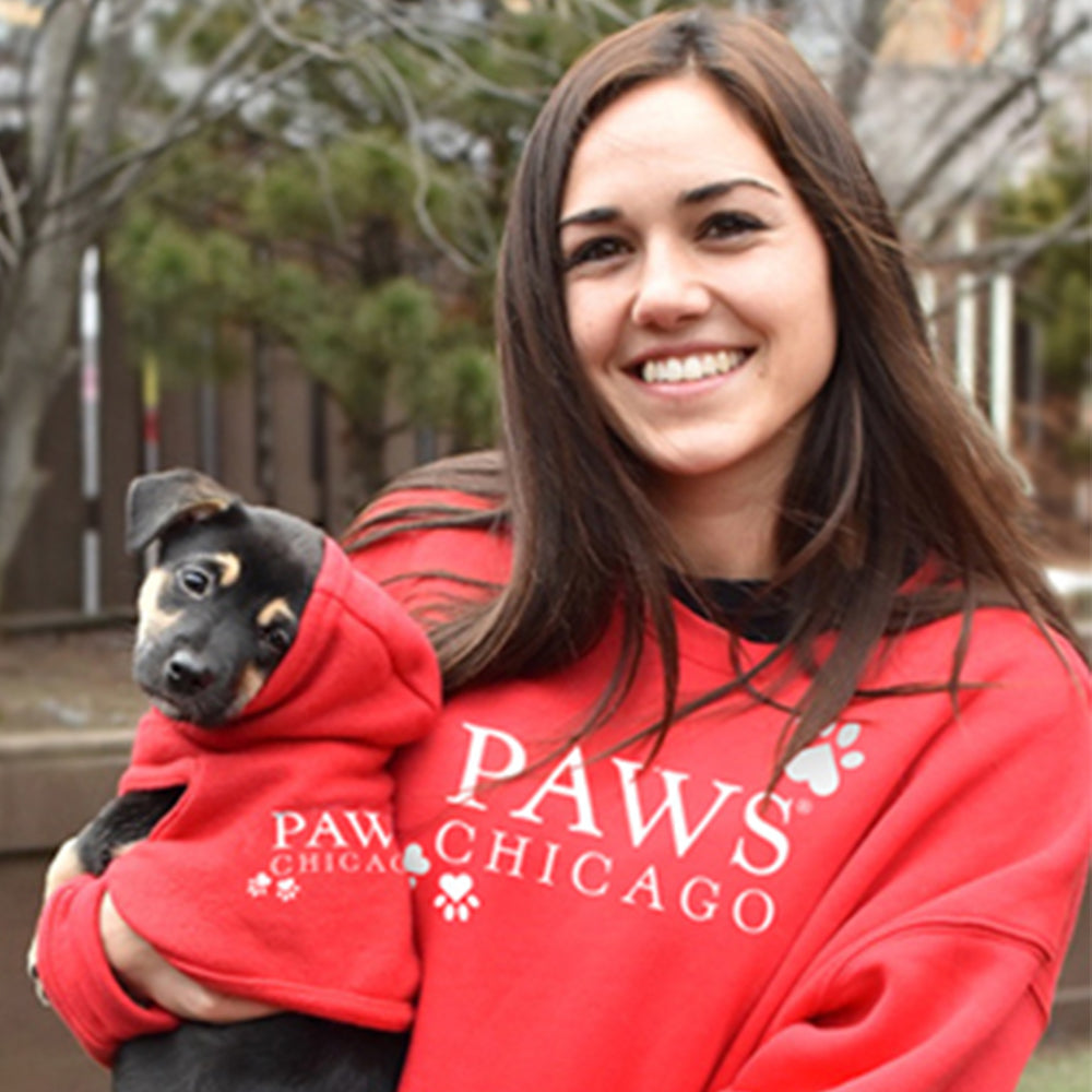 Heart PAWS Dog Hoodie