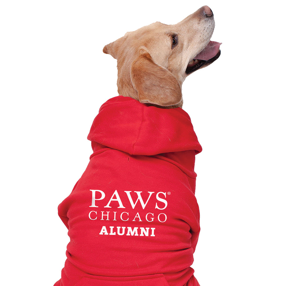 Red PAWS Alumni Dog Hoodie